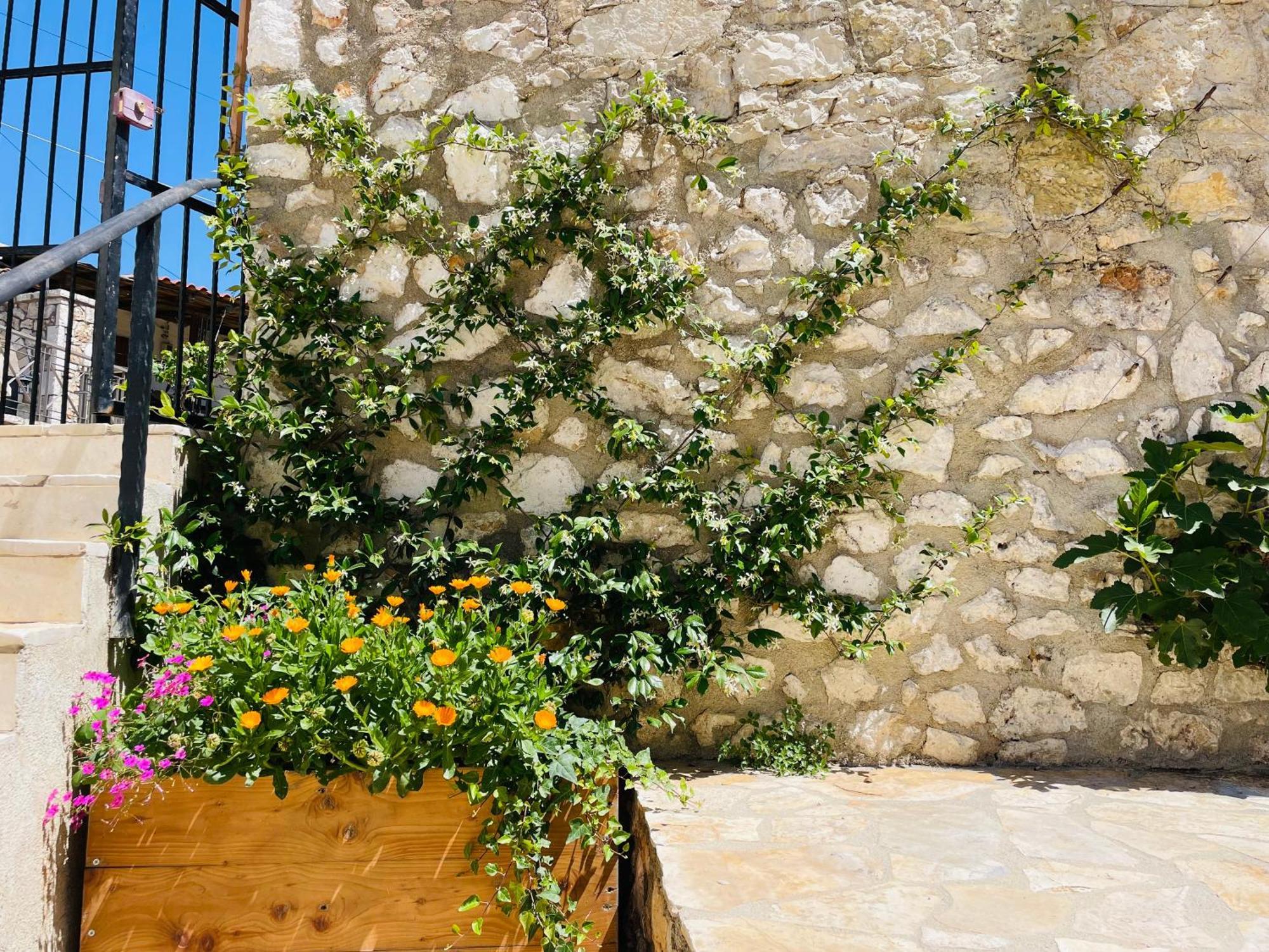 Guesthouse Near The Castle Of הימארה מראה חיצוני תמונה